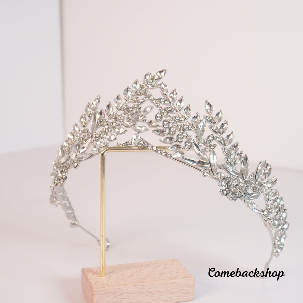 Silver Crystal Crowns and Tiaras with Comb for Girl or Women Princess Crown Queen Crown for Birthday Christmas Xmas Halloween Party